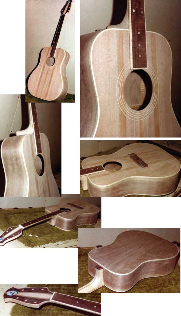 Walnut Body Acoustic